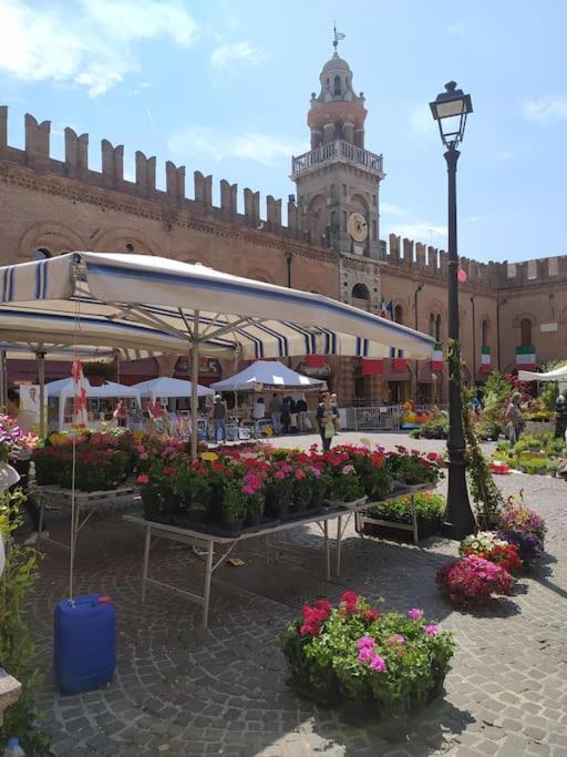 Le Palmine Apartment Cento (Emilia-Romagna)